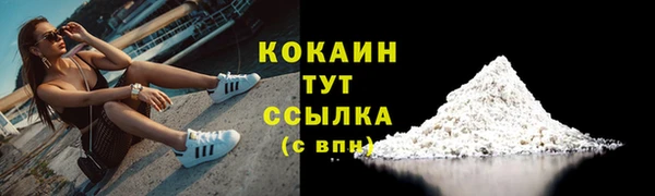 соль ск Алзамай
